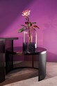 AYTM felinar Tota negru 500879000010