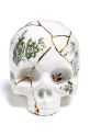 Διακοσμητική φιγούρα Seletti Kintsugi Skull 09943 πολύχρωμο AA00