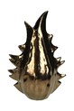 home & lifestyle vaza decorativa maro XET.8276