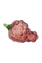 Декорация Villa Collection Harvest Grapes мультиколор 29255.