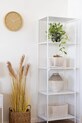 Штучна рослина в горщику House Nordic Hoya зелений 9501006