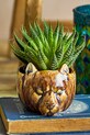 Вітальня та спальня Горщик Bloomingville 13 x 9,5 x 11,5 cm 82061849 коричневий