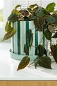 &k amsterdam doniczka clash stripe 2899.06 multicolor AA00