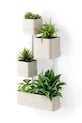 Umbra suport de perete pentru plante Cubiko 1018767.1313 bej AA00