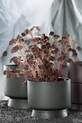 Salon i sypialnia Rosendahl osłonka na doniczkę 19 cm 20622. zielony
