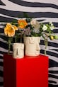 Γλάστρα Byon x Emma Widell, Facy 22 cm L μπεζ 5295303613