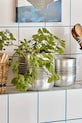 House Doctor set de măști pentru ghivece din metal 900000338 gri AA00