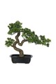 J-Line cserepes mű fa Podocarpus Bonsai többszínű 44012
