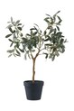 House Nordic plantă artificială în ghiveci Olive Tree verde 9501002
