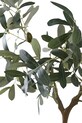 House Nordic plantă artificială în ghiveci Olive Tree 9501002 verde AA00