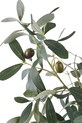 Living și dormitor House Nordic plantă artificială în ghiveci Olive Tree 9501002 verde
