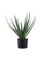 House Nordic sztuczna roślina w doniczce Aloe Vera zielony 9501001