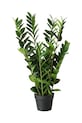 Umjetna biljka u lončanici Boltze Zamioculcas 76 cm zelena 2043808