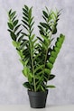 Umjetna biljka u lončanici Boltze Zamioculcas 76 cm 2043808 zelena