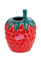 DOIY vază decorativă Farmers Raspberry rosu DYVASFMRA