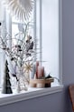 Вітальня та спальня Декоративна ваза Emalia 82051323 прозорий