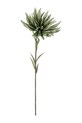 Τεχνητό λουλούδι Bizzotto Chrysanthemum 91 cm πράσινο 172575