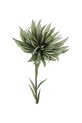 Τεχνητό λουλούδι Bizzotto Chrysanthemum 91 cm 172575 πράσινο AA00