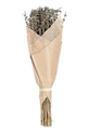 Bizzotto buchet de flori uscate