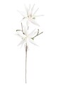 Bizzotto flori artificiale White Aloe Chinesis alb 172716