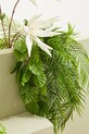 Bizzotto flori artificiale White Aloe Chinesis alb 172716