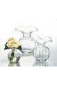 IVV vază decorativă Primula 8035.1 transparent AA00