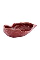 Light & Living bol decorativ Kalako 41 x 20,5 x 10 cm rosu 6357537