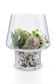 Dekoratívna váza Eva Solo Succulent 21 cm 568188 priesvitná AA00