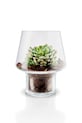 Obývacia izba a spálňa Dekoratívna váza Eva Solo Succulent 21 cm 568188 priesvitná