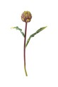 Bloomingville sztuczne kwiaty Protea Stem 54 cm multicolor 82061523