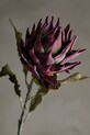 Salon i sypialnia Bloomingville sztuczna roślina Protea Stem 76 cm 82061467 multicolor