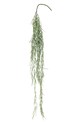 Bloomingville sztuczna roślina Tilandsia Plant 110 cm multicolor 82061497
