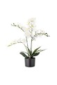 Bloomingville sztuczna roślina w doniczce Orchid Plant 84 cm multicolor 82061501