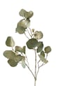 Boltze crenguță artificială Eucalyptus 82 cm verde 1022263