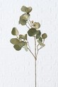 Umelá vetvička Boltze Eucalyptus 82 cm 1022263 zelená AA00