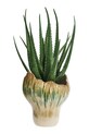 Madam Stoltz wazon dekoracyjny 25 x 29 cm V336111.40532 multicolor AA00