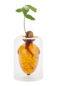 Ваза за отглеждане на семена Balvi Acorn Vase 12 x 8,4 x 8,4 cm прозрачен 28111