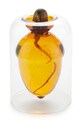 Ваза за отглеждане на семена Balvi Acorn Vase 12 x 8,4 x 8,4 cm 28111 прозрачен AA00