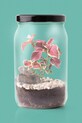 RESETEA mini szklarnia Terrarium 16 x 21,5 cm Erst569 multicolor AA00