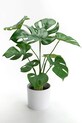 home & lifestyle sztuczna roślina w doniczce 10 x 39 cm