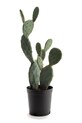 home & lifestyle sztuczna roślina w doniczce 62 cm