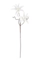 Bizzotto Изкуствено растение декоративно 22 x 113 cm бял 172714