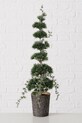 Boltze choinka dekoracyjna Zeder 64 cm 2040789 zielony AA00