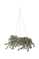 Bloomingville wieniec świąteczny Cedar Wreath 70 x 8 cm zielony 82072375