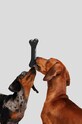 Karl Lagerfeld giocattolo per cane 230W3973