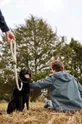 μπεζ Λουρί σκύλου Field + Wander Rope Leash