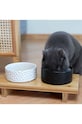 Balvi un set de castroane cu suport pentru un animal de companie Komeki 27725
