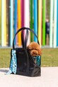 United Pets transporter dla pupila Up Bag GP1301NF multicolor