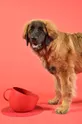 Μπολ σκύλου United Pets Cup Dog κόκκινο