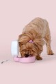 Пляшка для води для собаки United Pets Pingui GV0901RO20 рожевий